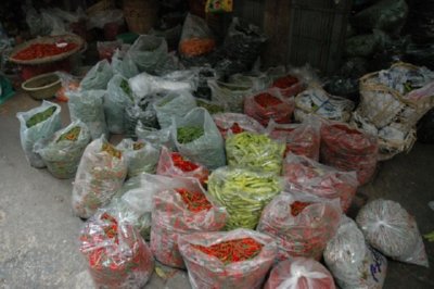COMERCIO - FLORES (8)